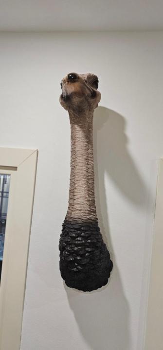 トリノEmanuele Filibertoアパートメント エクステリア 写真